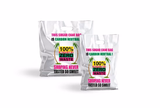 Zero Plastic Sugar Cane Eco Bag